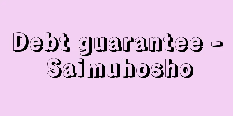Debt guarantee - Saimuhosho
