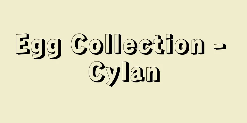 Egg Collection - Cylan