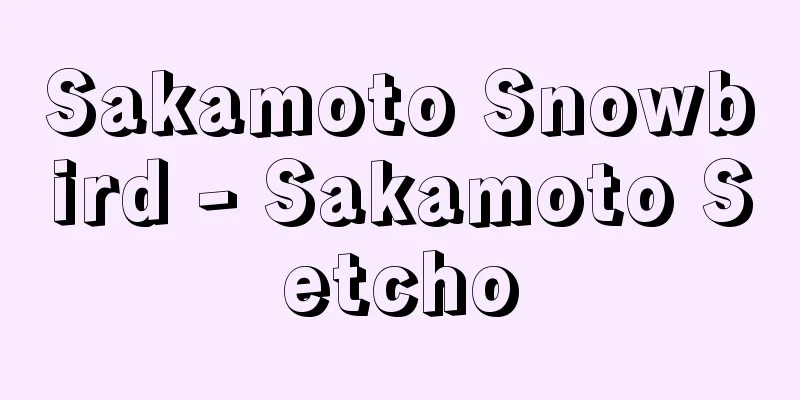 Sakamoto Snowbird - Sakamoto Setcho
