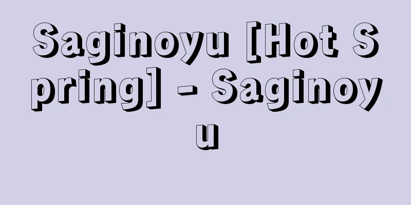 Saginoyu [Hot Spring] - Saginoyu