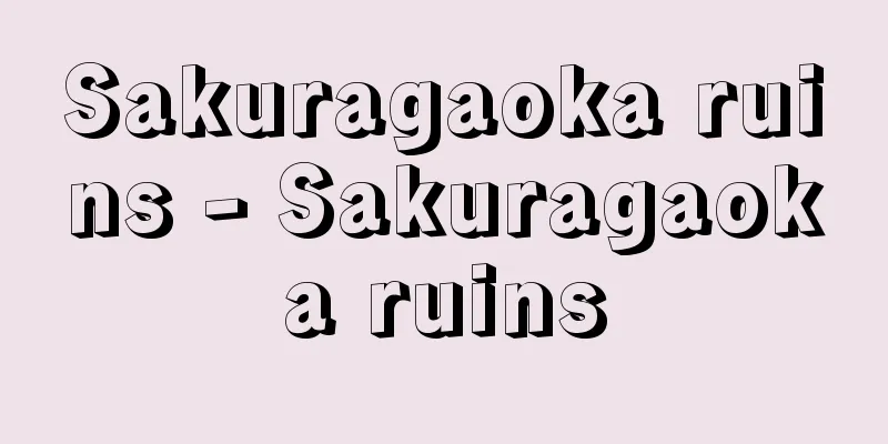 Sakuragaoka ruins - Sakuragaoka ruins