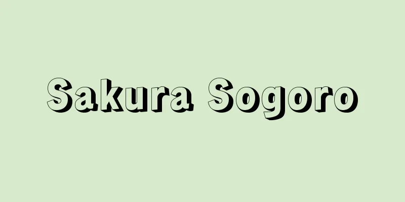 Sakura Sogoro