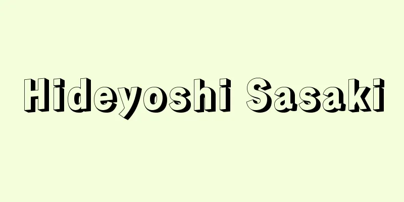 Hideyoshi Sasaki
