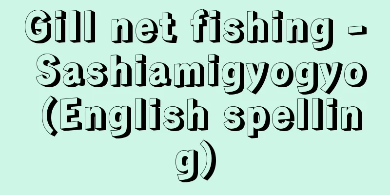 Gill net fishing - Sashiamigyogyo (English spelling)
