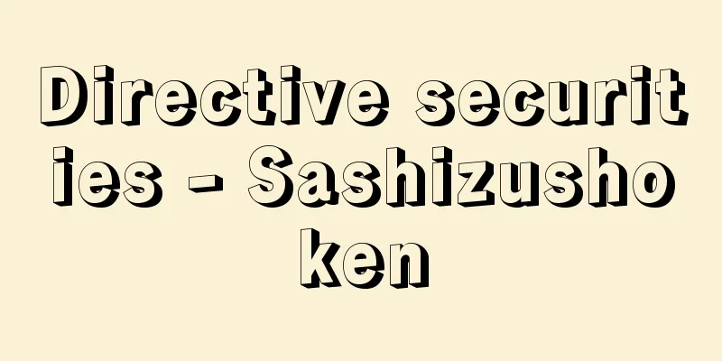 Directive securities - Sashizushoken