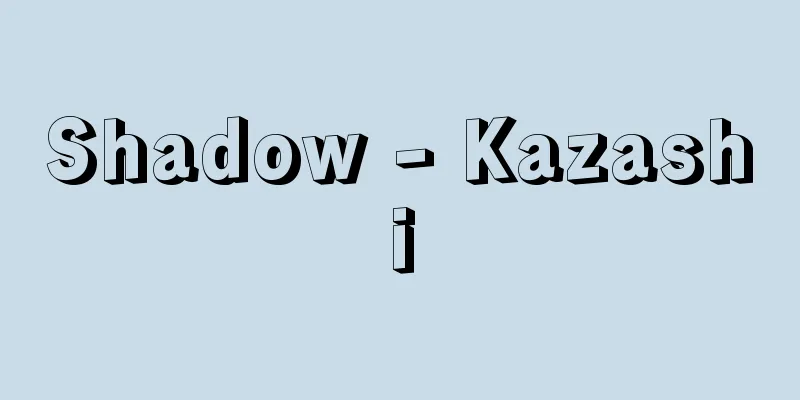 Shadow - Kazashi