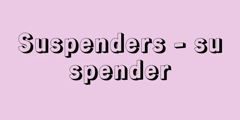 Suspenders - suspender