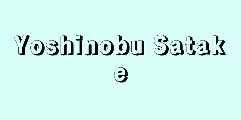 Yoshinobu Satake