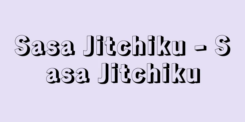 Sasa Jitchiku - Sasa Jitchiku