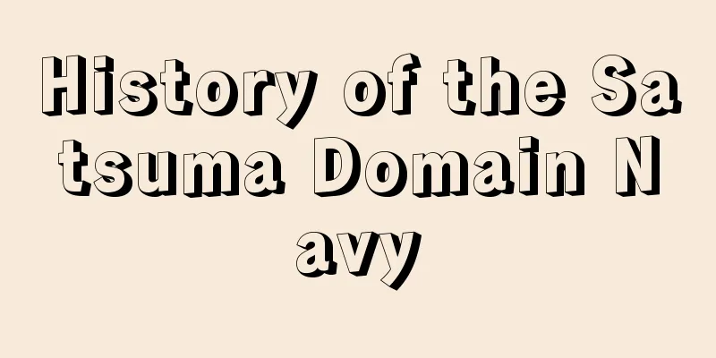 History of the Satsuma Domain Navy