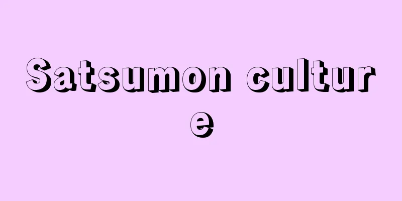 Satsumon culture