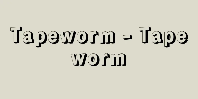 Tapeworm - Tapeworm