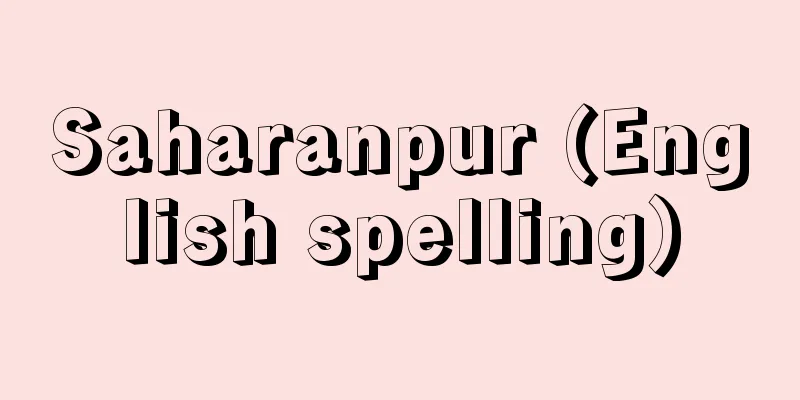 Saharanpur (English spelling)
