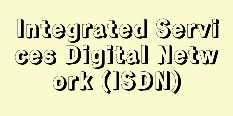 Integrated Services Digital Network (ISDN)