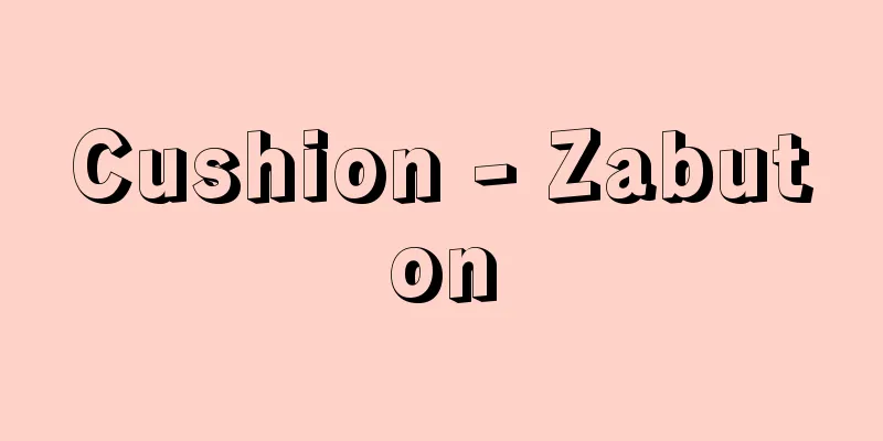 Cushion - Zabuton