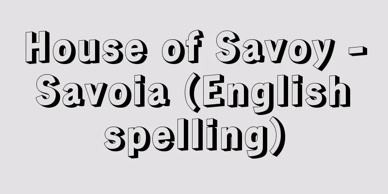 House of Savoy - Savoia (English spelling)