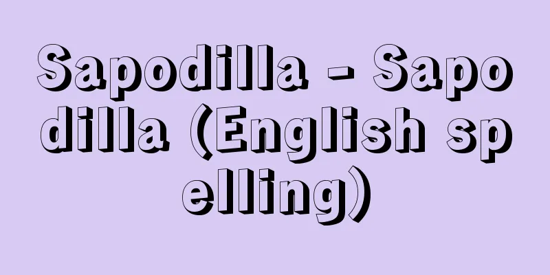 Sapodilla - Sapodilla (English spelling)