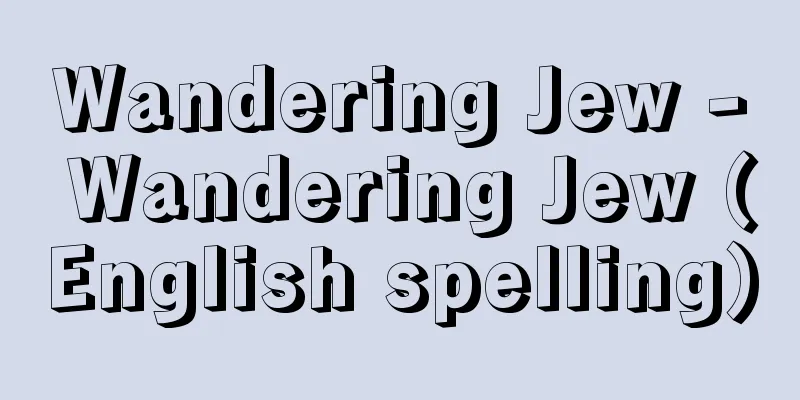 Wandering Jew - Wandering Jew (English spelling)