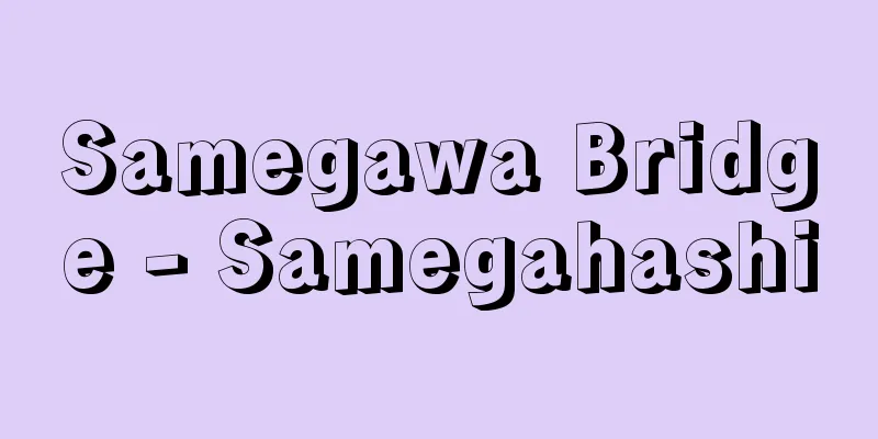 Samegawa Bridge - Samegahashi