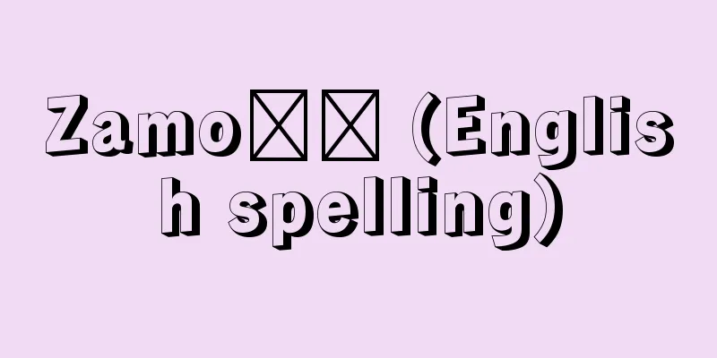 Zamość (English spelling)