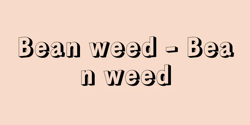 Bean weed - Bean weed