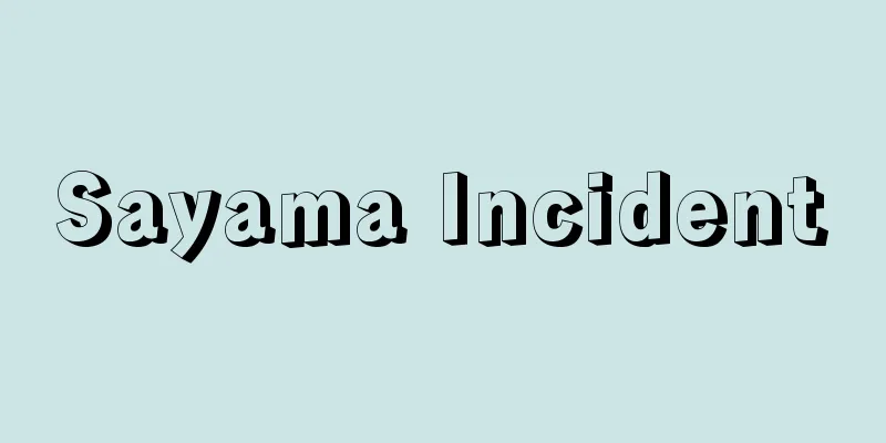 Sayama Incident