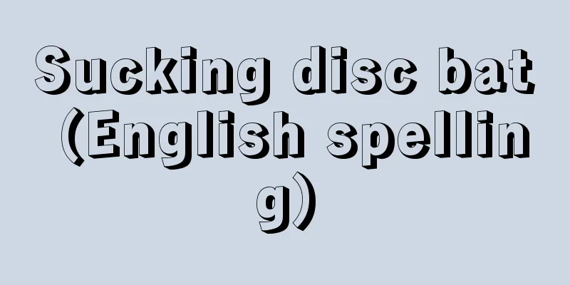 Sucking disc bat (English spelling)