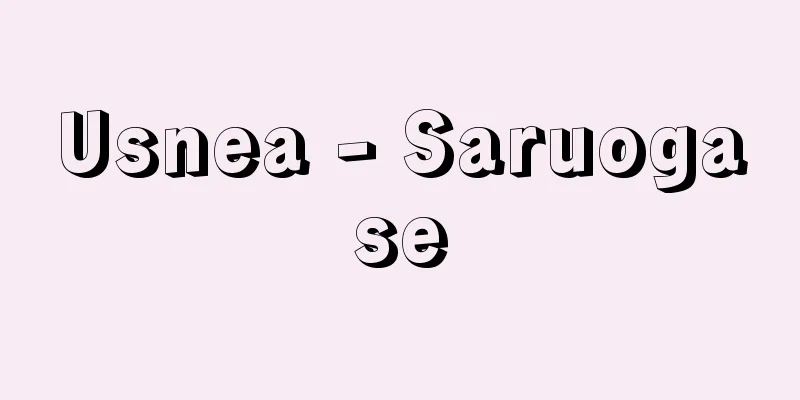 Usnea - Saruogase