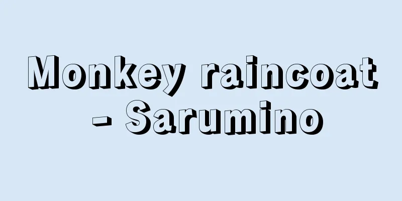 Monkey raincoat - Sarumino