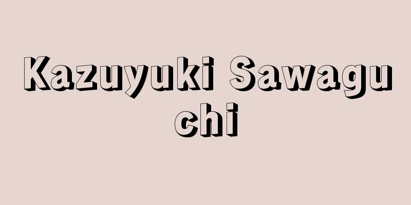 Kazuyuki Sawaguchi