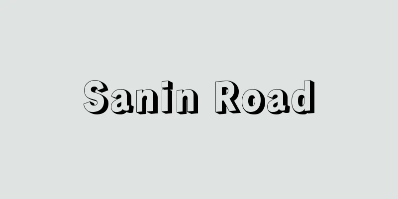Sanin Road
