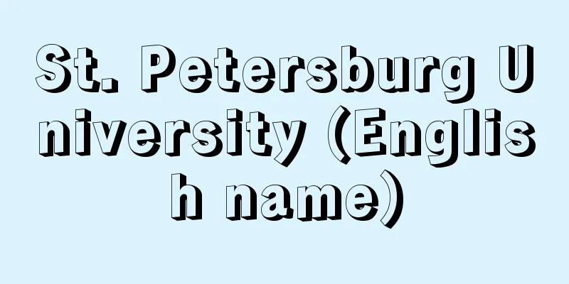 St. Petersburg University (English name)
