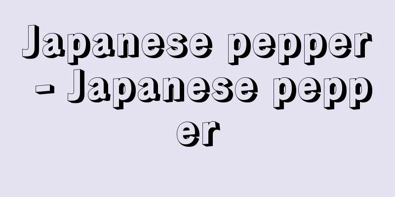 Japanese pepper - Japanese pepper