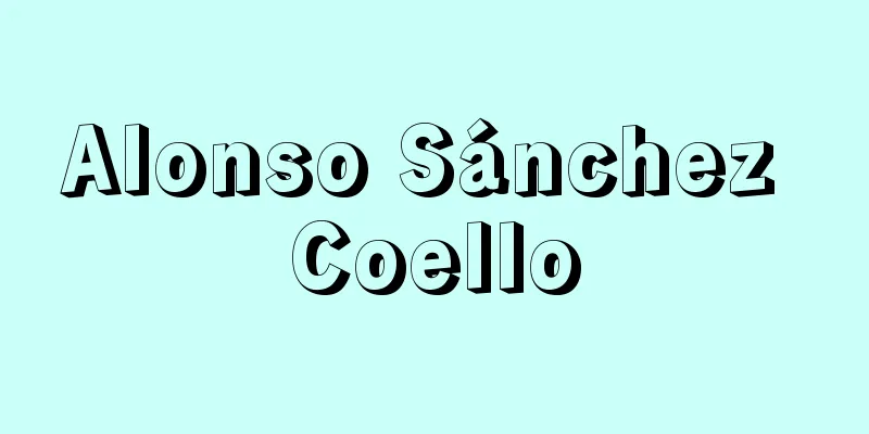 Alonso Sánchez Coello