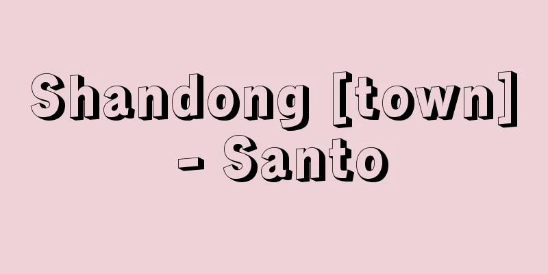 Shandong [town] - Santo