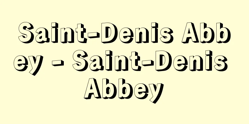 Saint-Denis Abbey - Saint-Denis Abbey