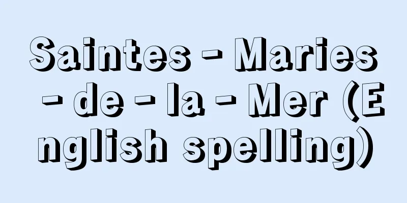 Saintes‐Maries‐de‐la‐Mer (English spelling)