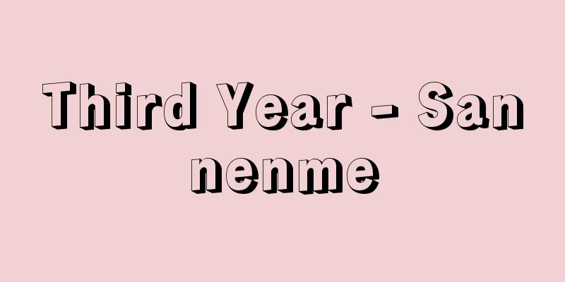 Third Year - Sannenme