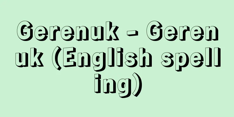 Gerenuk - Gerenuk (English spelling)