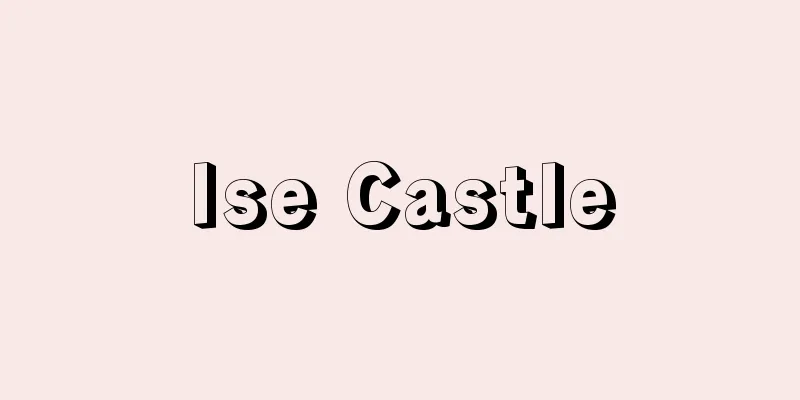 Ise Castle