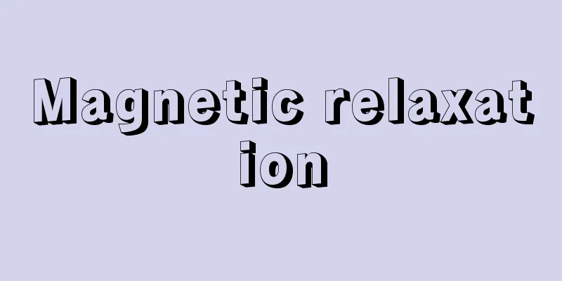 Magnetic relaxation