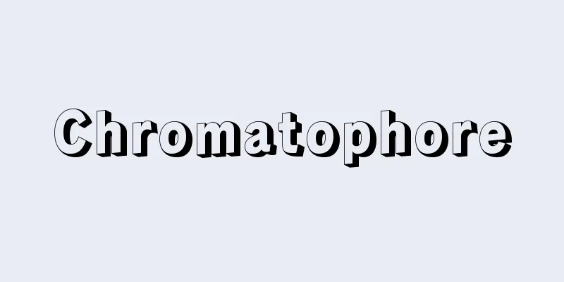 Chromatophore
