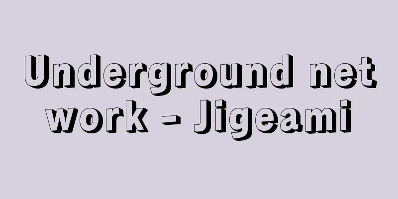 Underground network - Jigeami