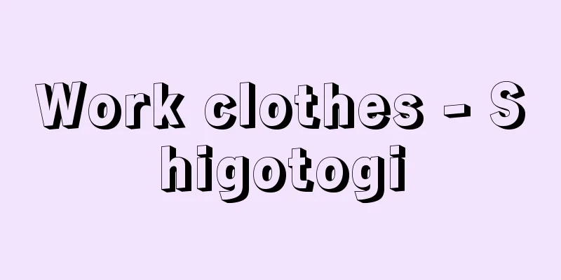 Work clothes - Shigotogi