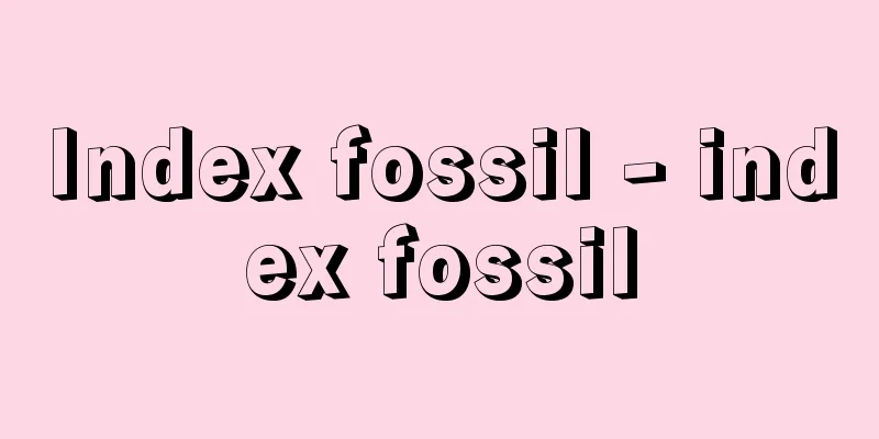 Index fossil - index fossil