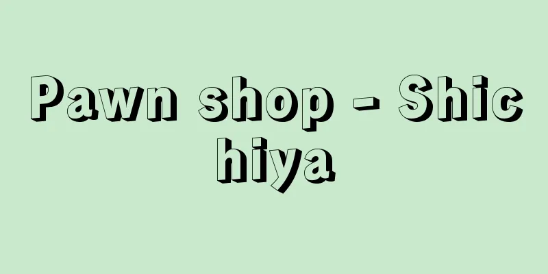 Pawn shop - Shichiya