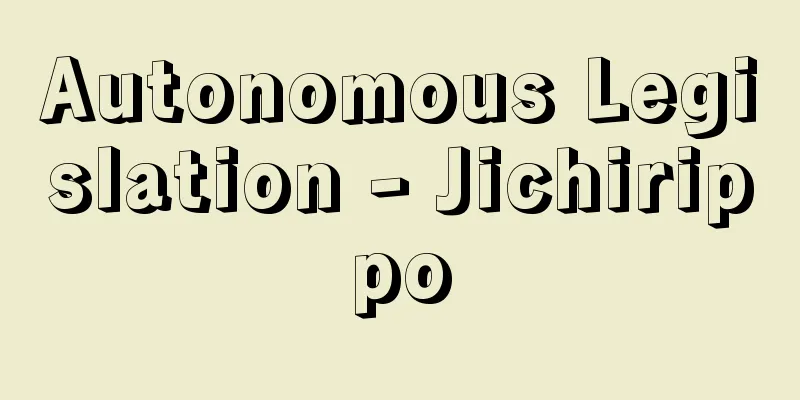 Autonomous Legislation - Jichirippo