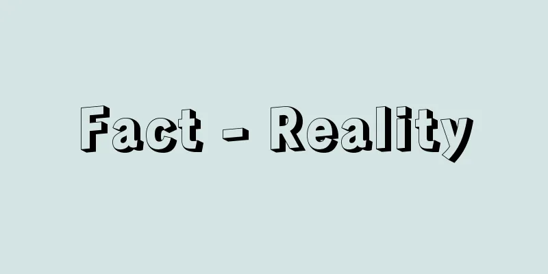 Fact - Reality