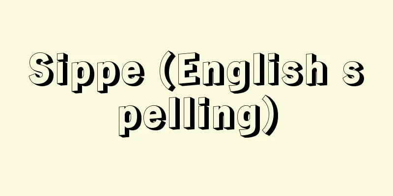 Sippe (English spelling)