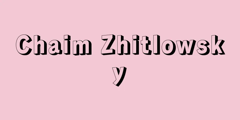 Chaim Zhitlowsky